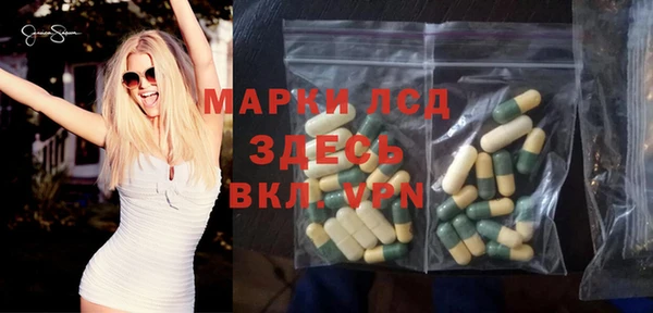 spice Тында