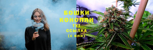 амф Туринск