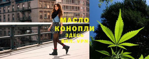 2c-b Горно-Алтайск
