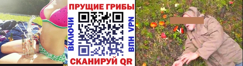 наркота  Кореновск  дарк нет как зайти  Галлюциногенные грибы мухоморы 