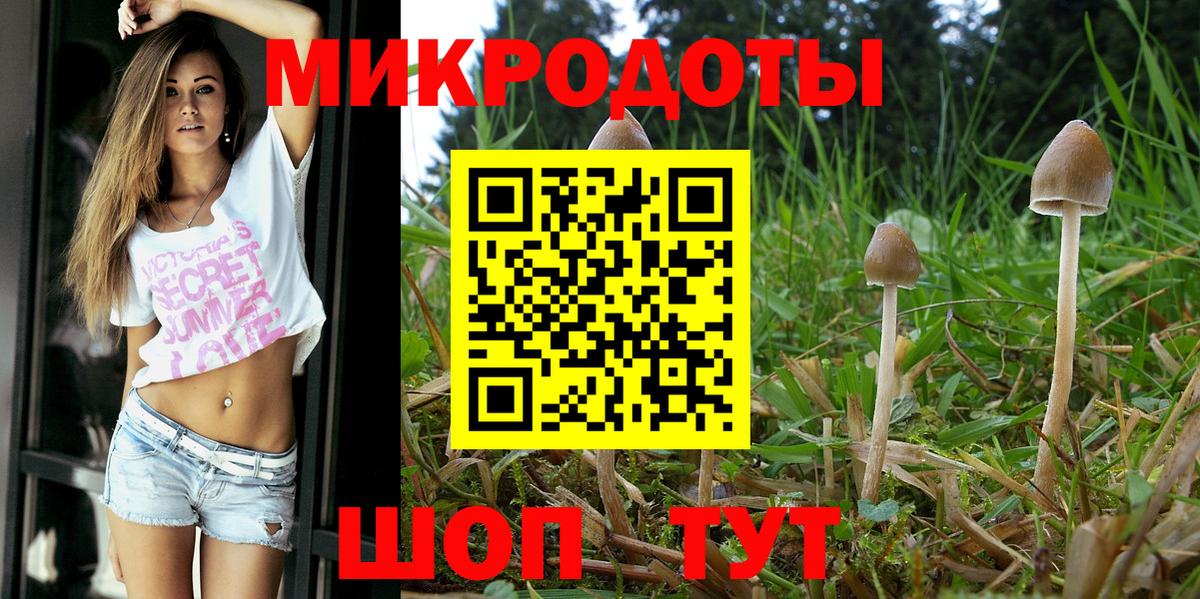 Псилоцибиновые грибы GOLDEN TEACHER Кореновск