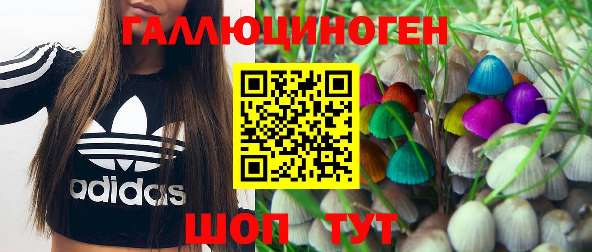 Кореновск  Галлюциногенные грибы ЛСД  Вход с VPN 